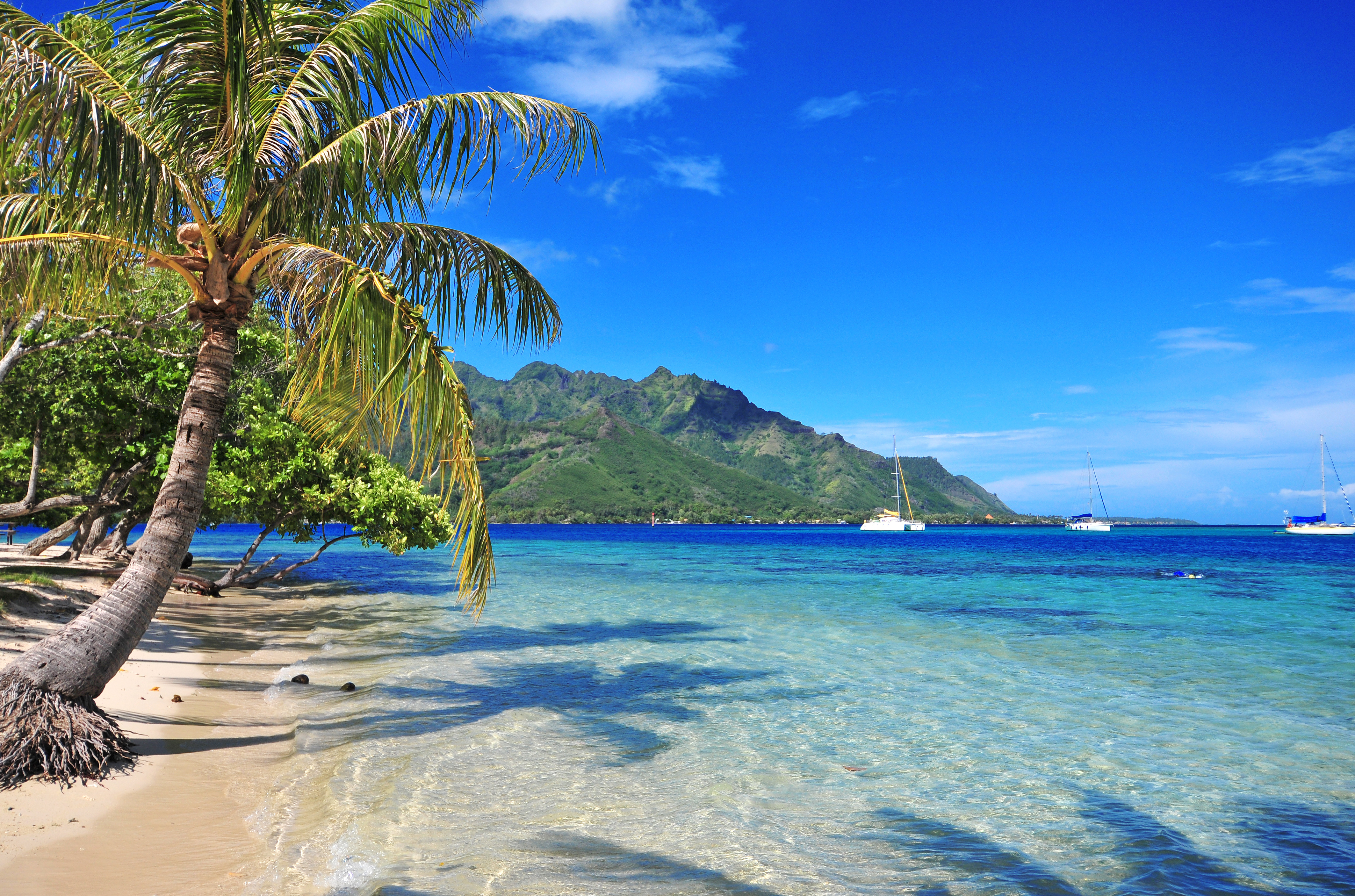 Tahiti sailing holiday, beautiful beach during sailing trip